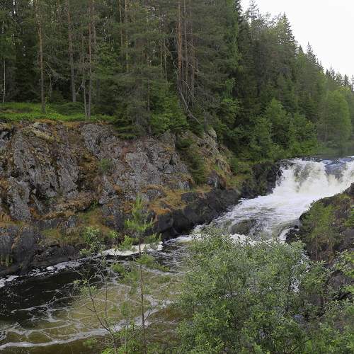 Photo #6283919