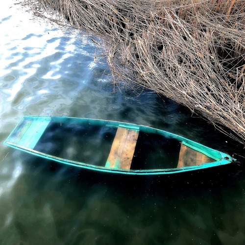 Photo #6284020