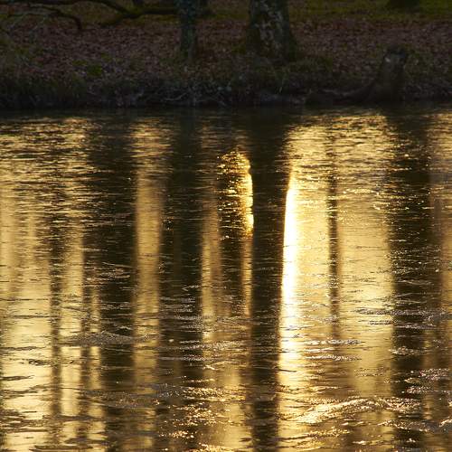Photo #6284336