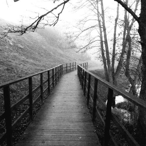 Photo #6284439