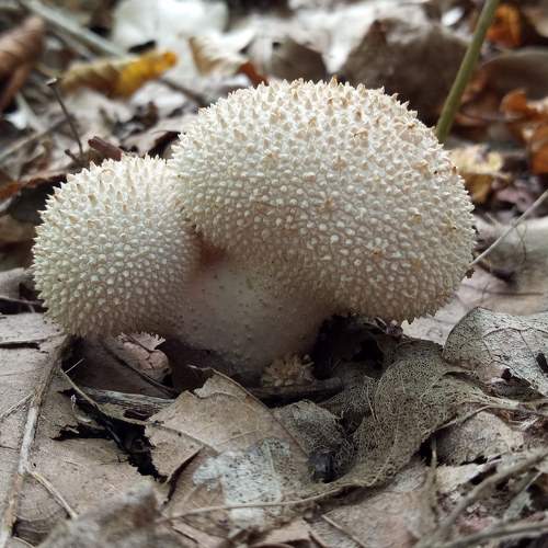 Photo #6284658