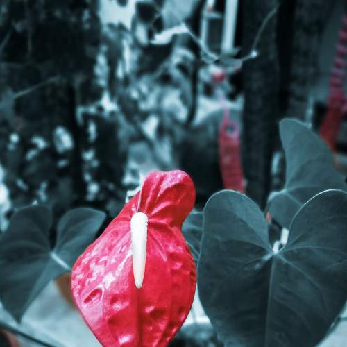 Photo #6284660