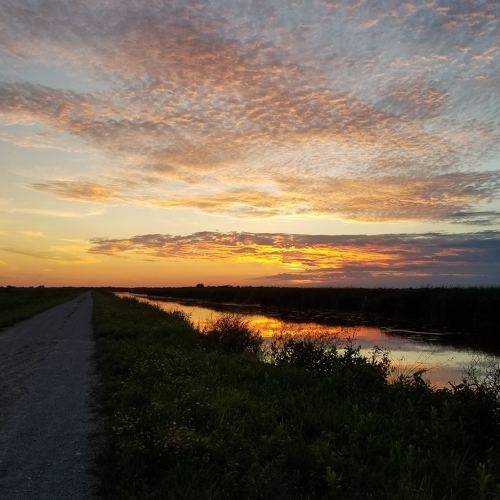 Photo #6284699