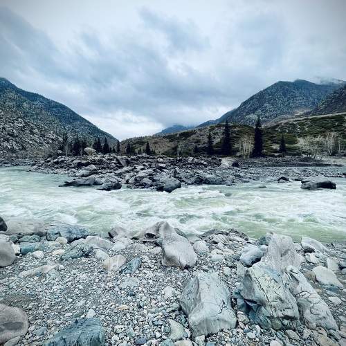 Photo #6284753