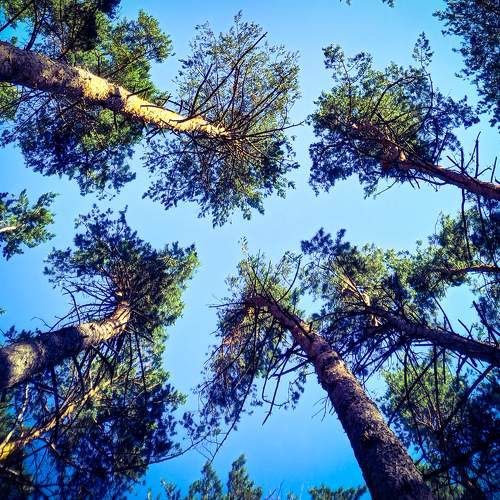 Photo #6284848