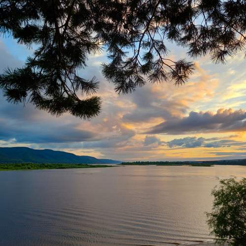 Photo #6284894