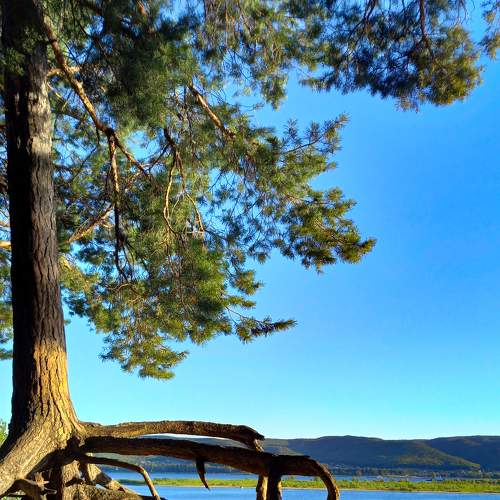 Photo #6284910