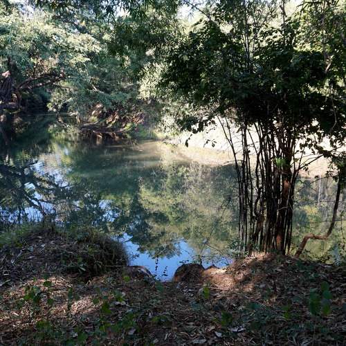 Photo #6285193