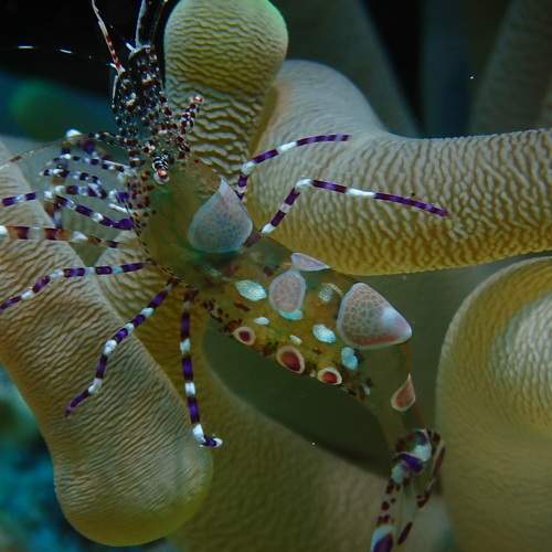 Photo #6285902