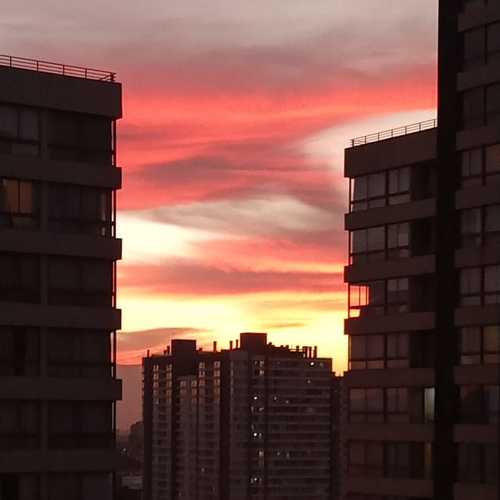 Photo #6285947
