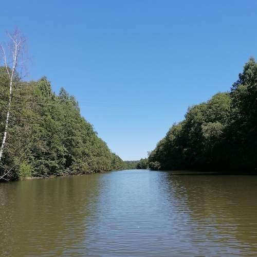Photo #6286089