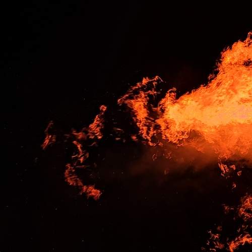 Photo #6286529
