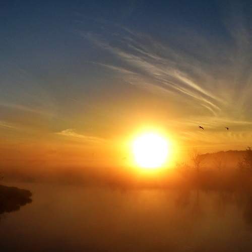 Photo #6286661
