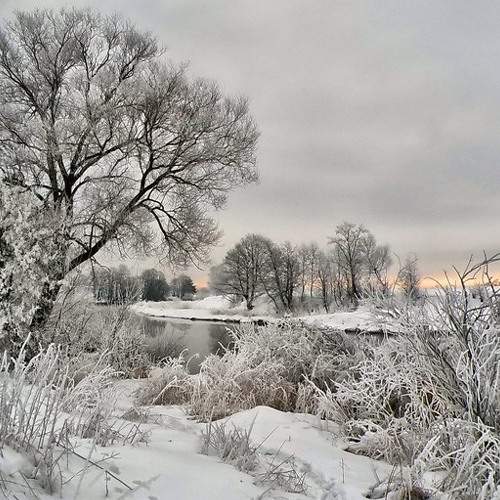 Photo #6286663