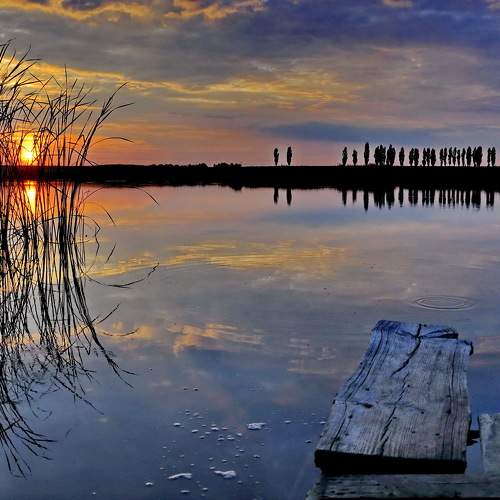 Photo #6286668