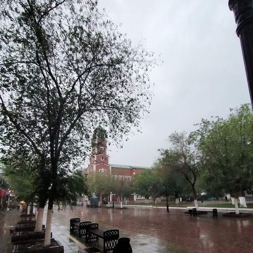 Photo #6286760