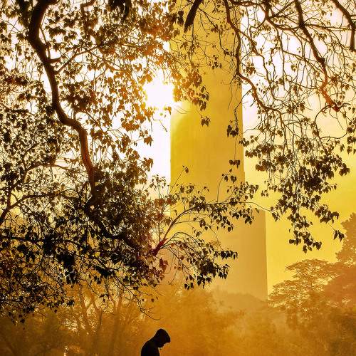 Photo #6286905