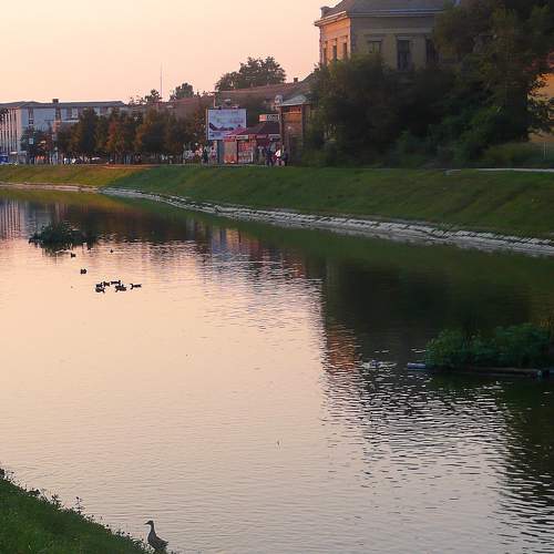 Photo #6287150