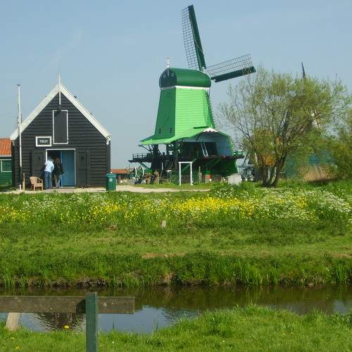 Photo #6287204