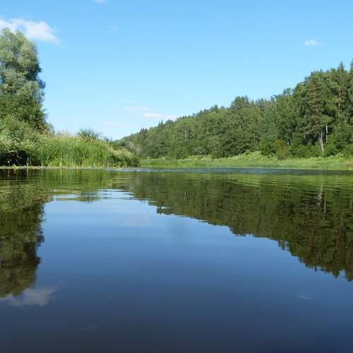 Photo #6287292