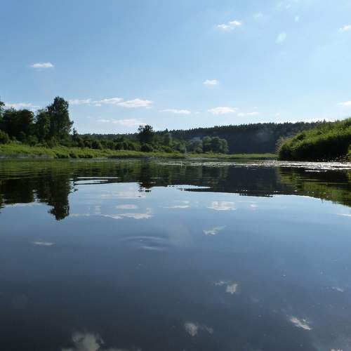 Photo #6287316