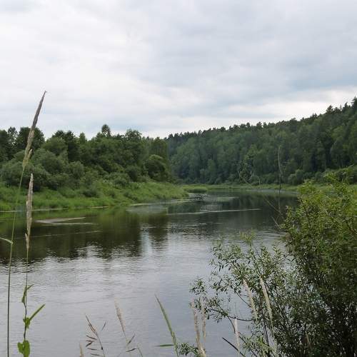 Photo #6287343