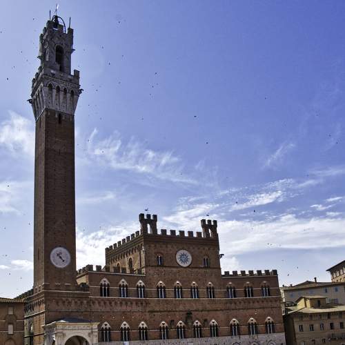 Photo #6287482