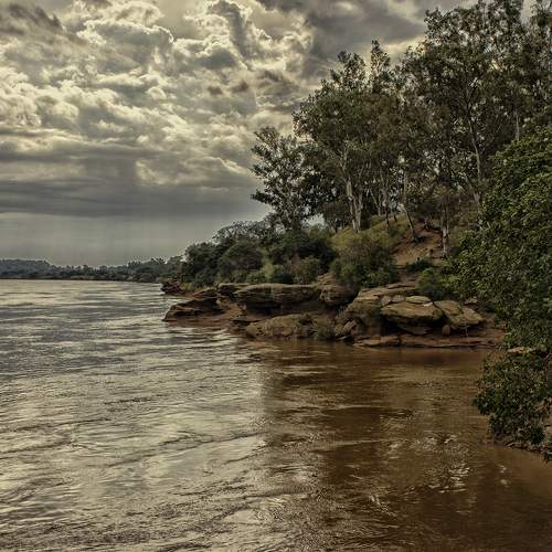 Photo #6287719