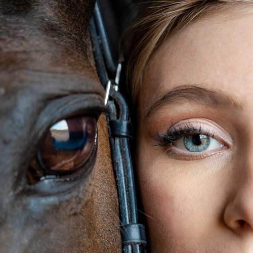 Photo #6287853