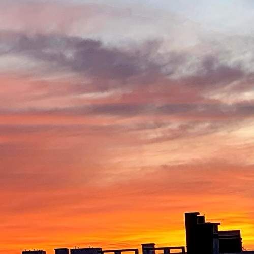Photo #6287885