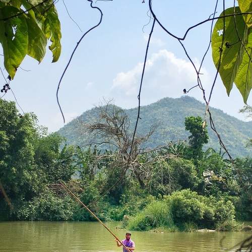 Photo #6288012