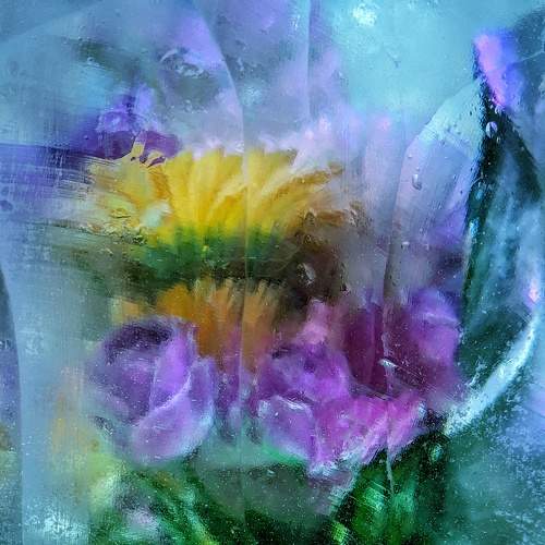 Photo #6288091