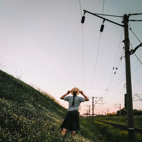 Photo #6288183