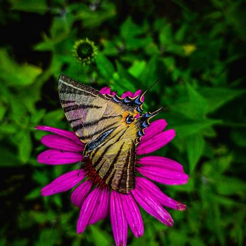 Photo #6288229