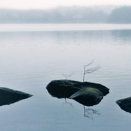 Photo #6288347