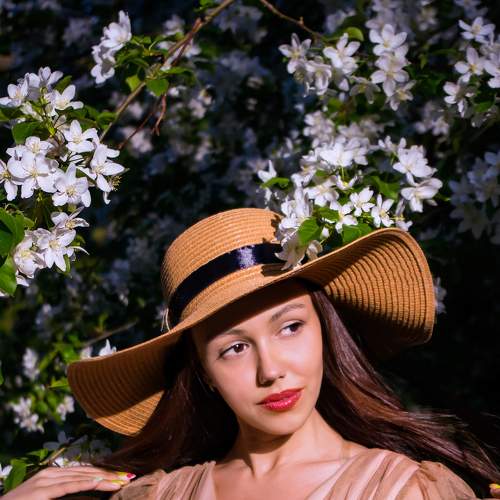 Photo #6288464