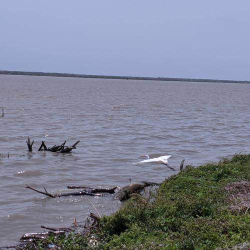 Photo #6288489