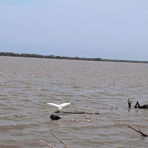Photo #6288502