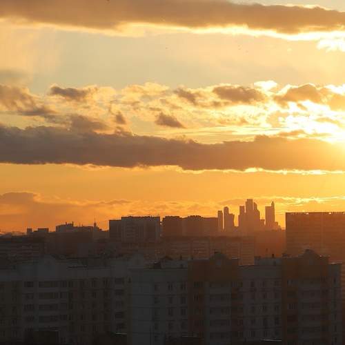 Photo #6288684