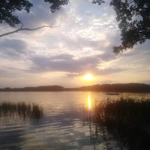 Photo #6288774