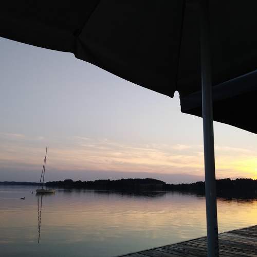 Photo #6288783
