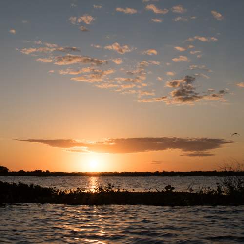 Photo #6288815