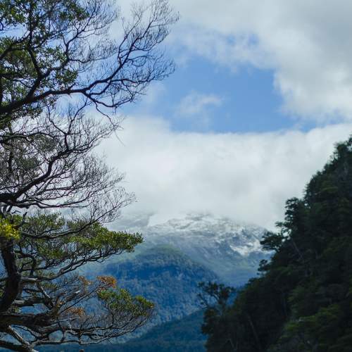 Photo #6288817