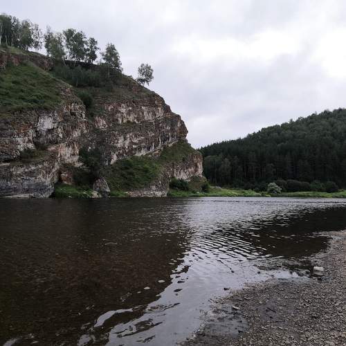 Photo #6288924
