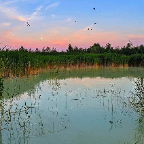 Photo #6289106