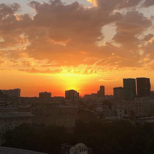 Photo #6289132