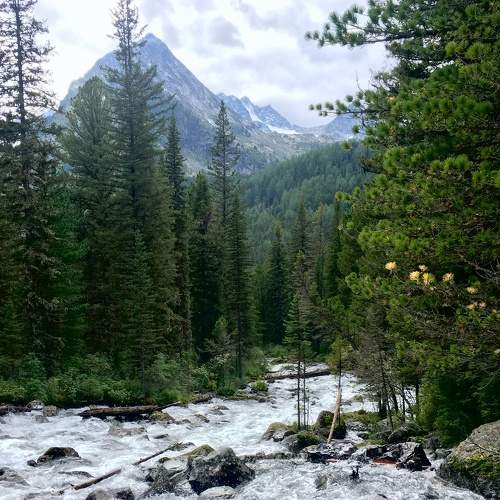 Photo #6289239