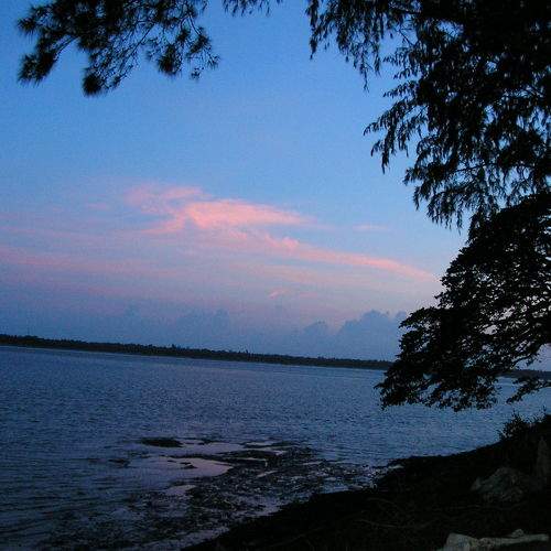 Photo #6289253