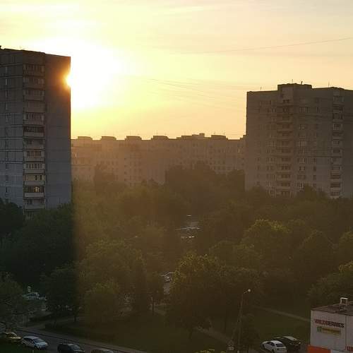 Photo #6289631