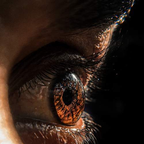 Photo #6290305